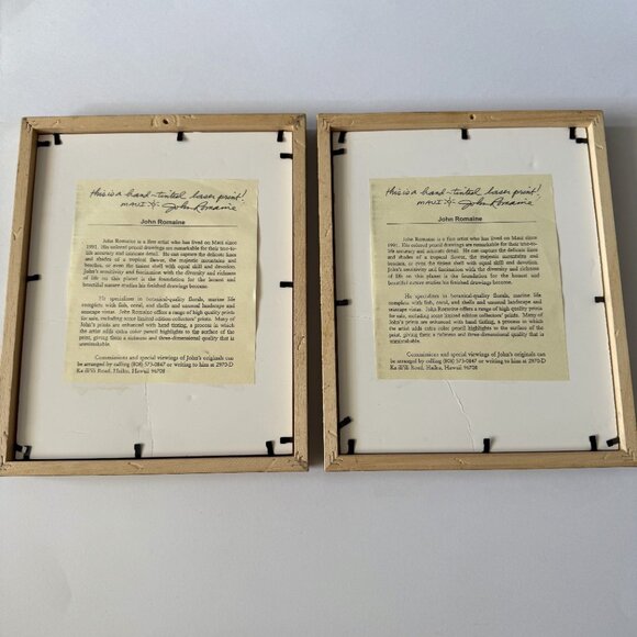 Hawaiian Botanical Bird of Paradise Art Print Set of 2 - Picture 4 of 8